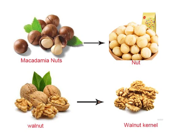 Commercial Walnut Huller Commercial Walnut Huller
