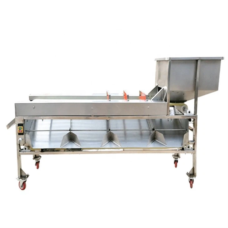 Apple Sorter