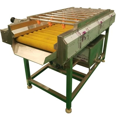 Groente En Fruit Reinigingsmachine