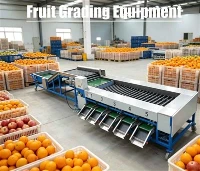 Apparatuur voor het sorteren van fruit