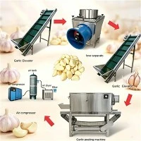 Industriële knoflookschilmachine
